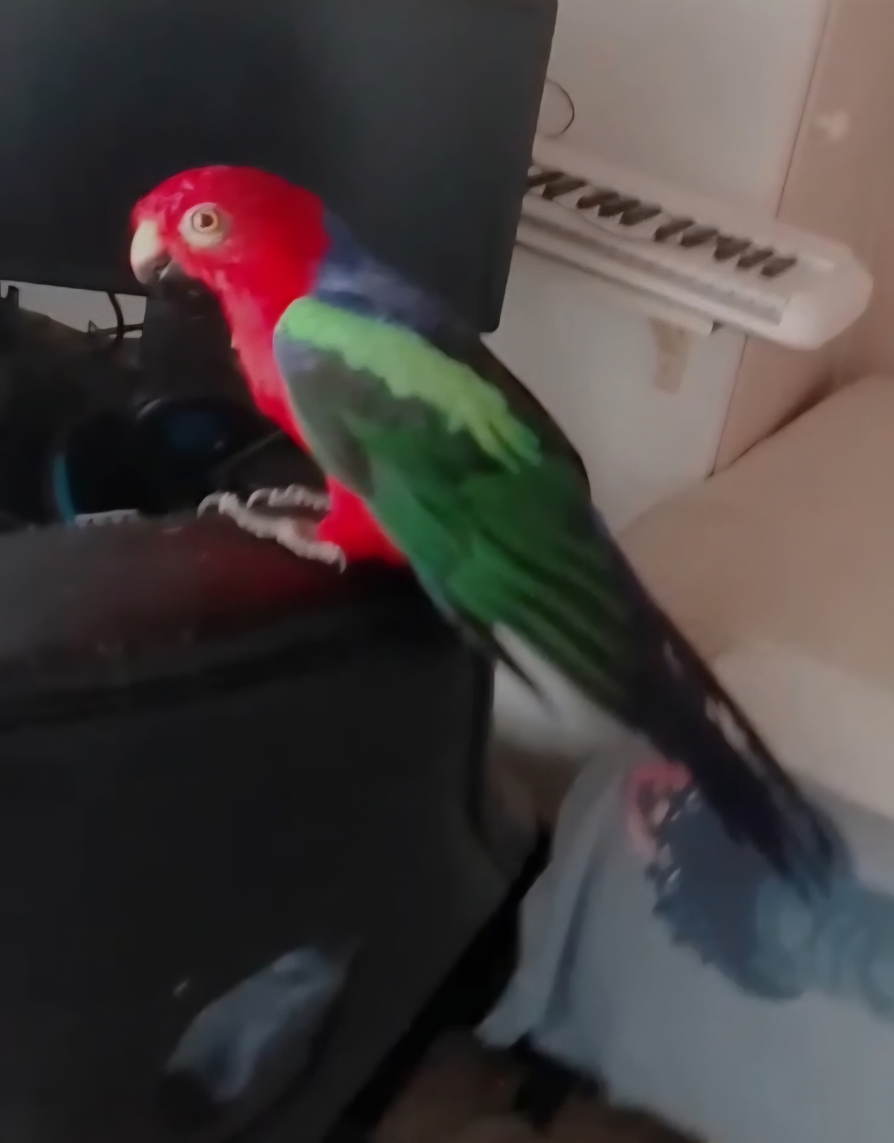 Dino on the desk by the keyboard